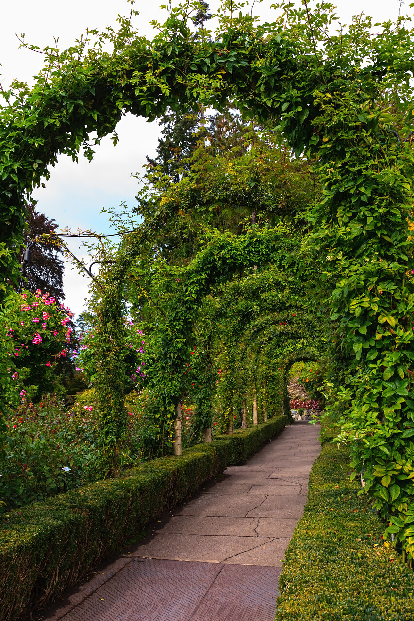 加拿大温哥华岛上的风景秀丽布查特花园