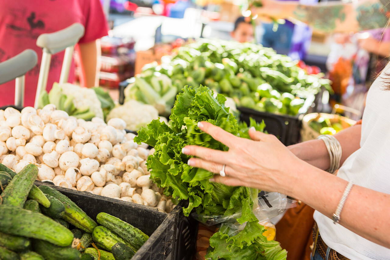 夏季城市农贸市场买菜的当地