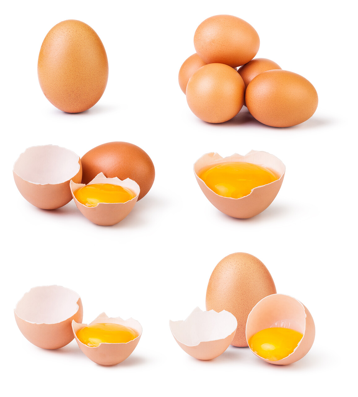白色背景上鸡蛋的形象展示