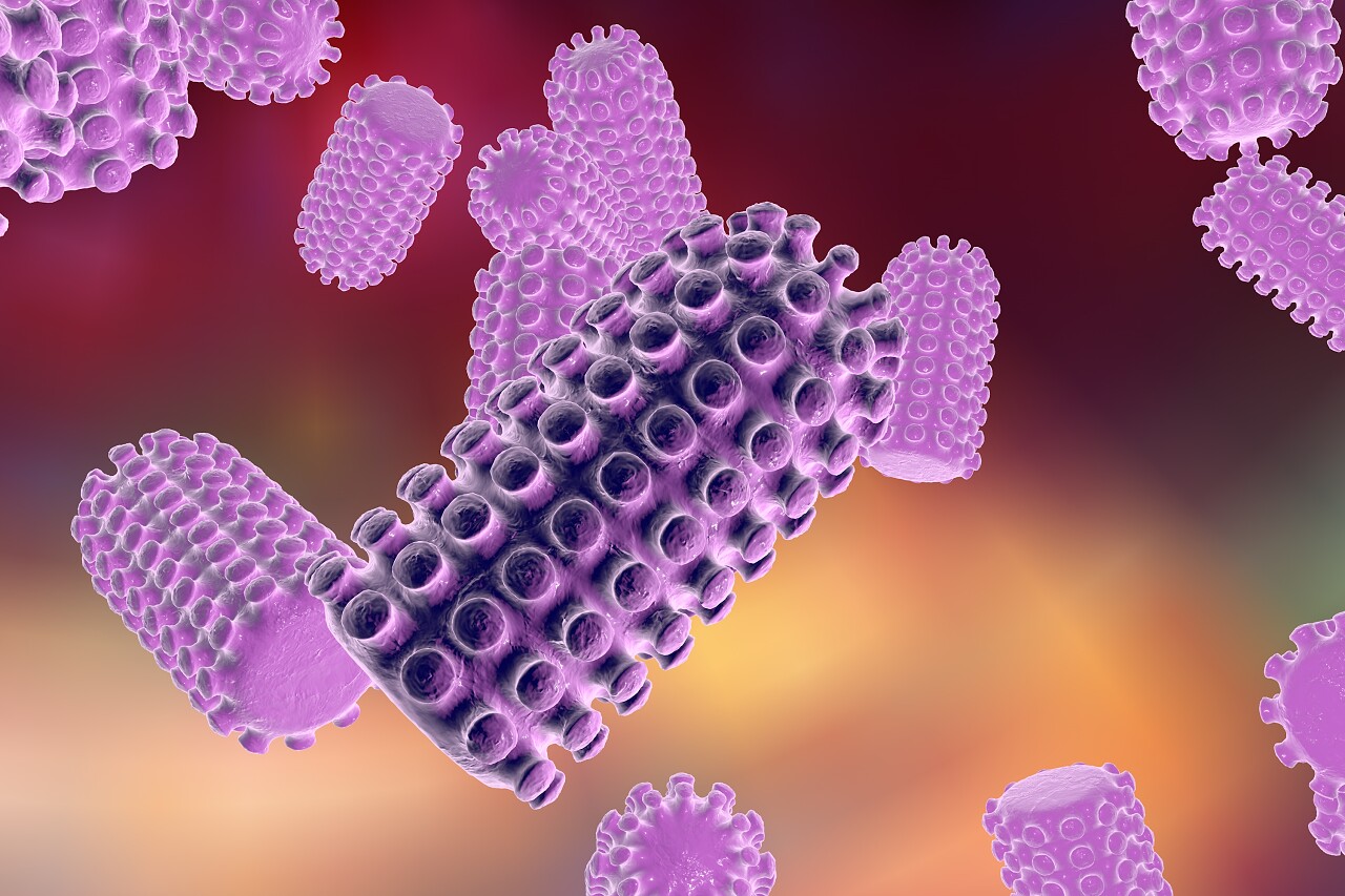 褐色背景狂犬病病毒的数字图示