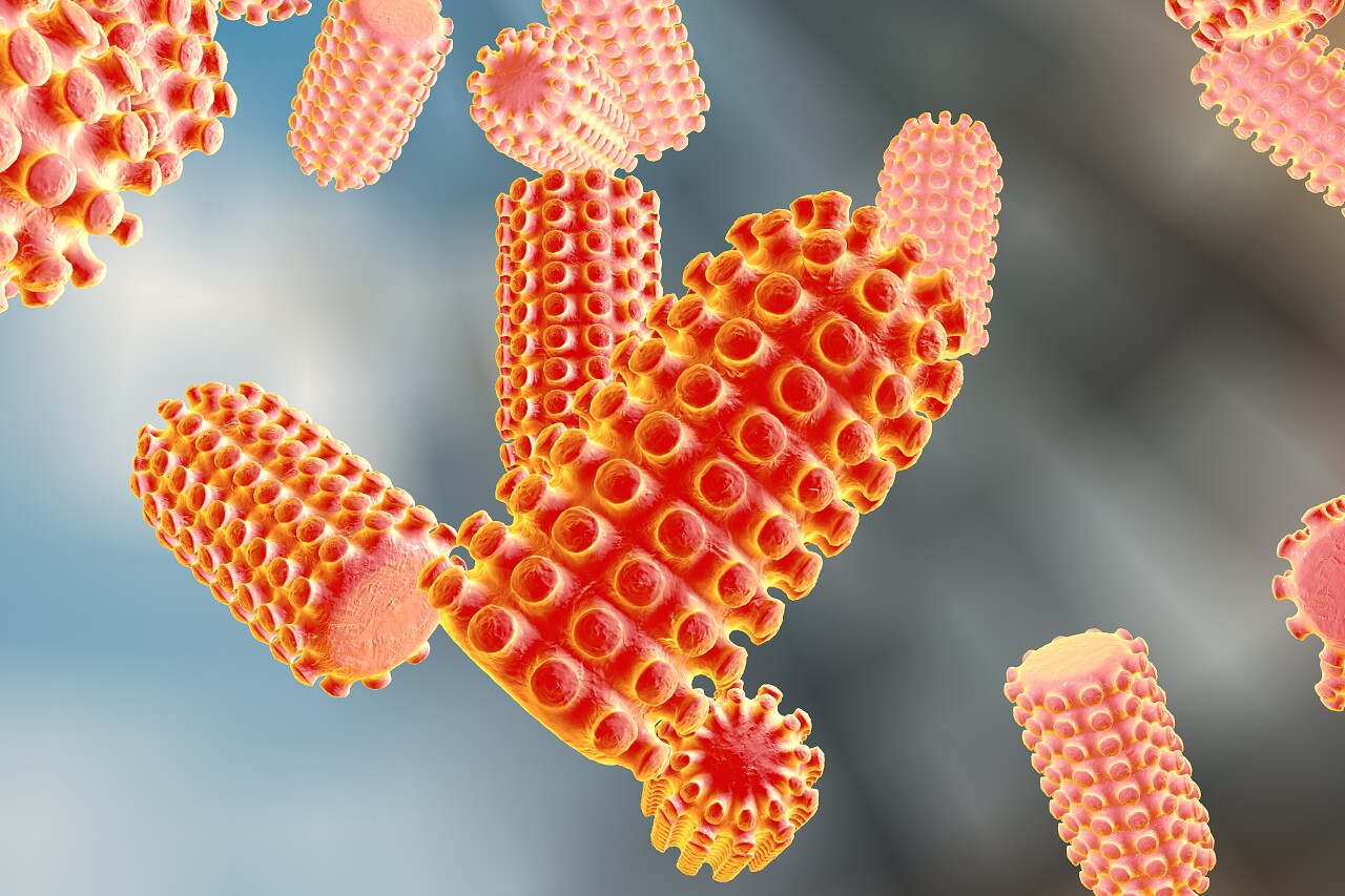 灰色背景狂犬病病毒的数字图示