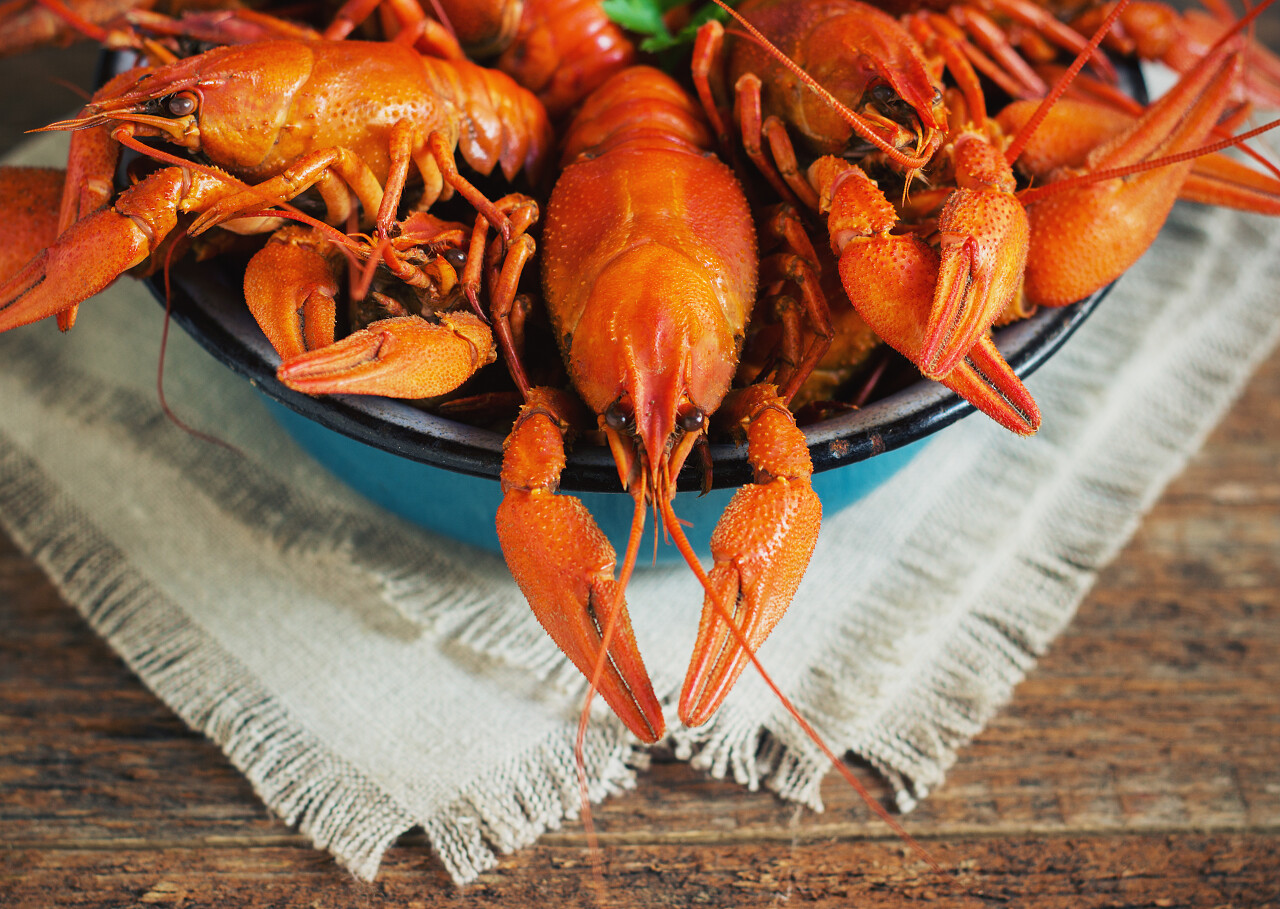 褐色木制背景板上新鲜的小龙虾