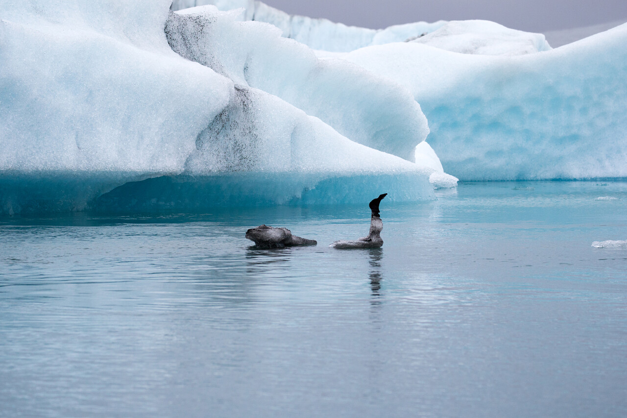 冰川融化的壮观场景
