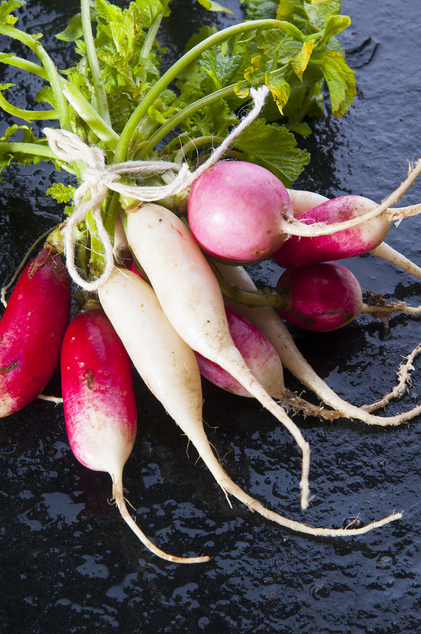 黑色的石头背景上的红色和白色萝卜