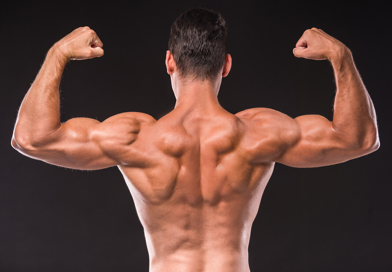 后视图的健壮的男人展示肌肉