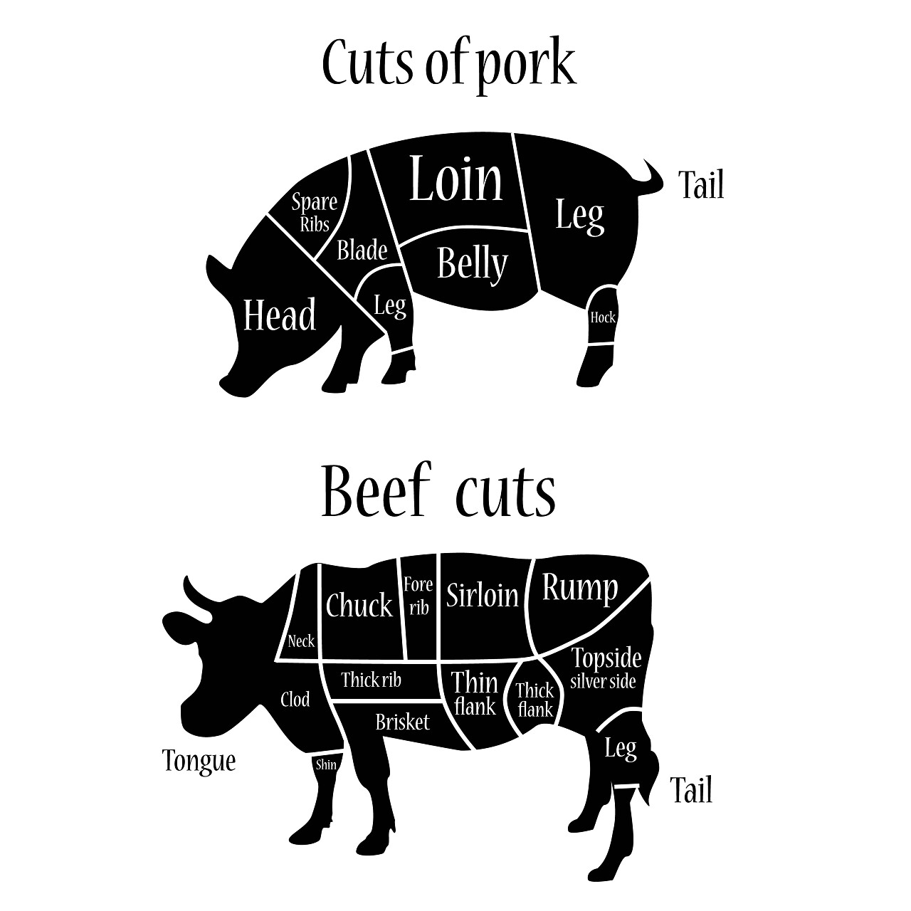 白色背景上猪和牛