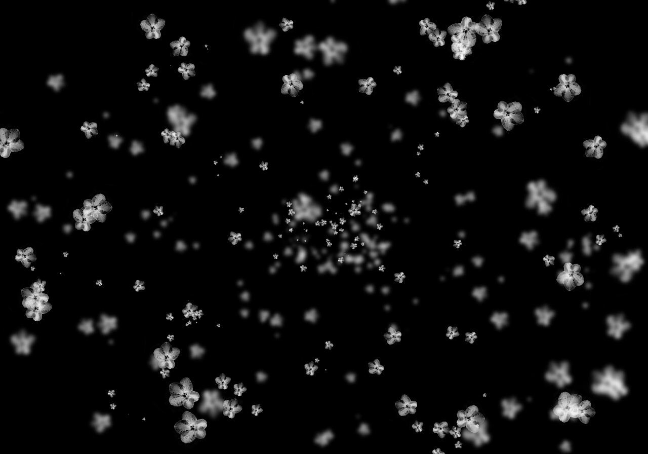 在黑色背景上的白色落花二十四节气立冬小雪大雪冬至小寒大寒