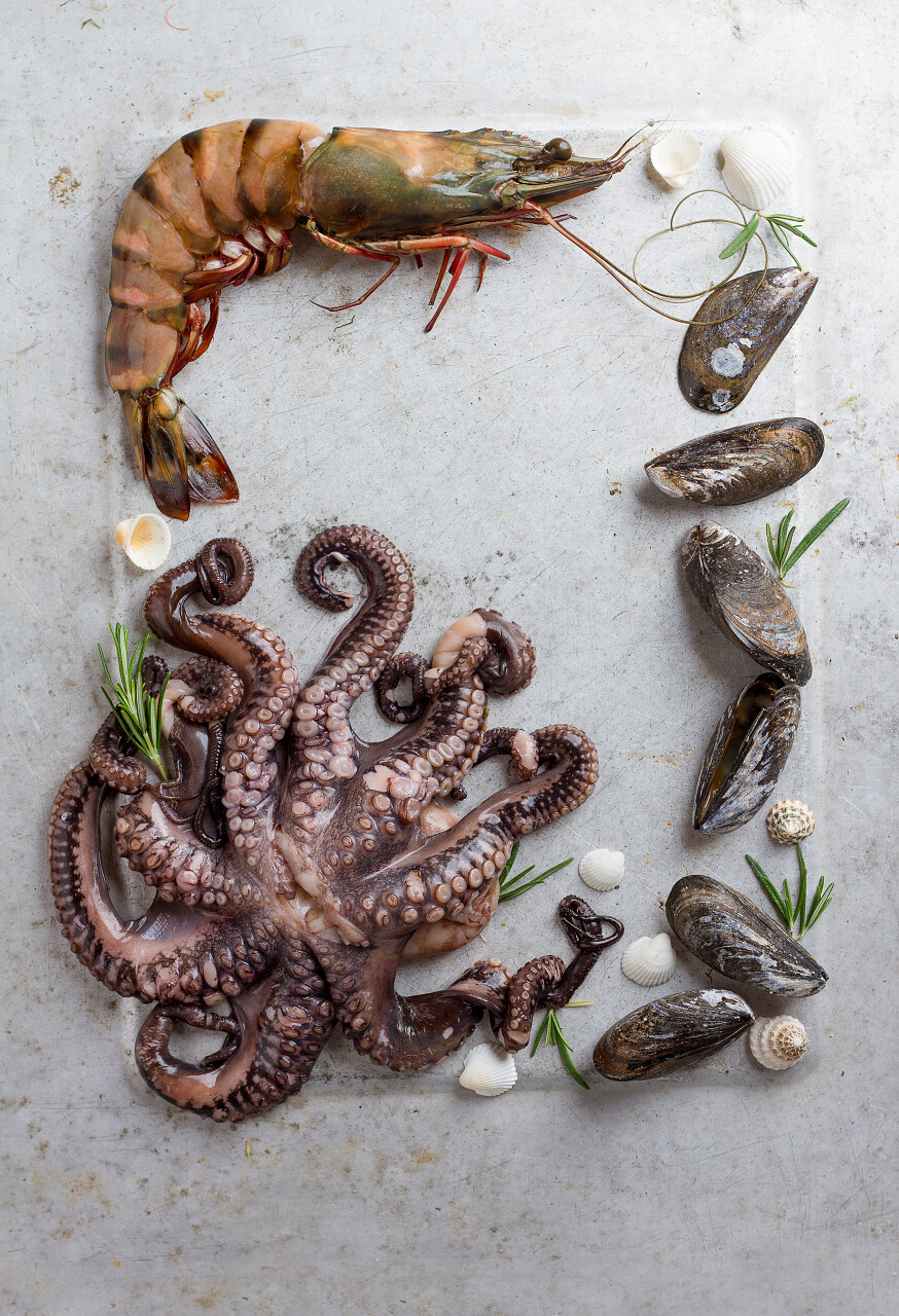 灰色背景上的食品与海鲜