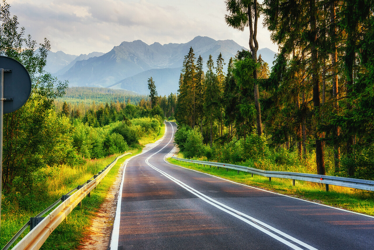 这条路穿过树林通往山里