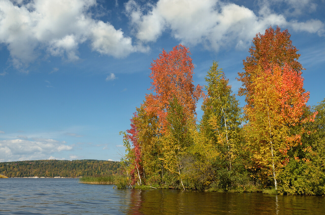 唯美风景图枫树林河边湖畔蓝天白云橘红色的秋天
