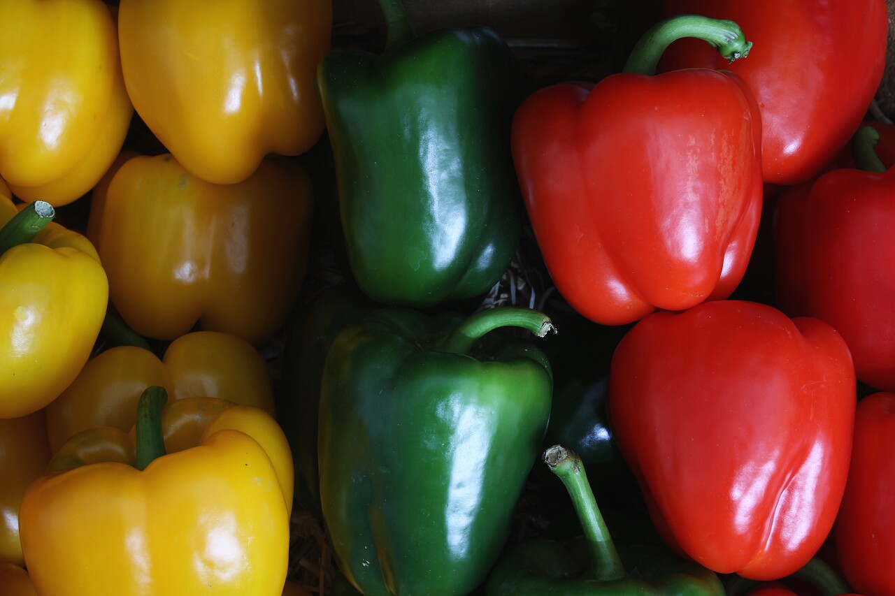 五彩斑斓形色各异的辣椒