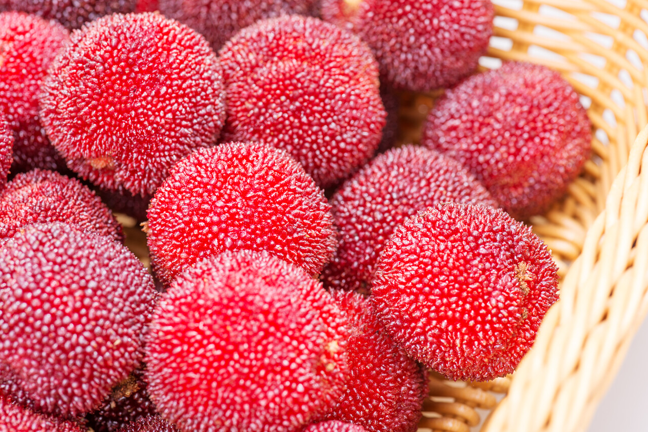 在篮子里的杨梅