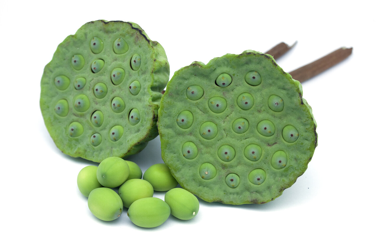 白色背景上的莲子和莲蓬心