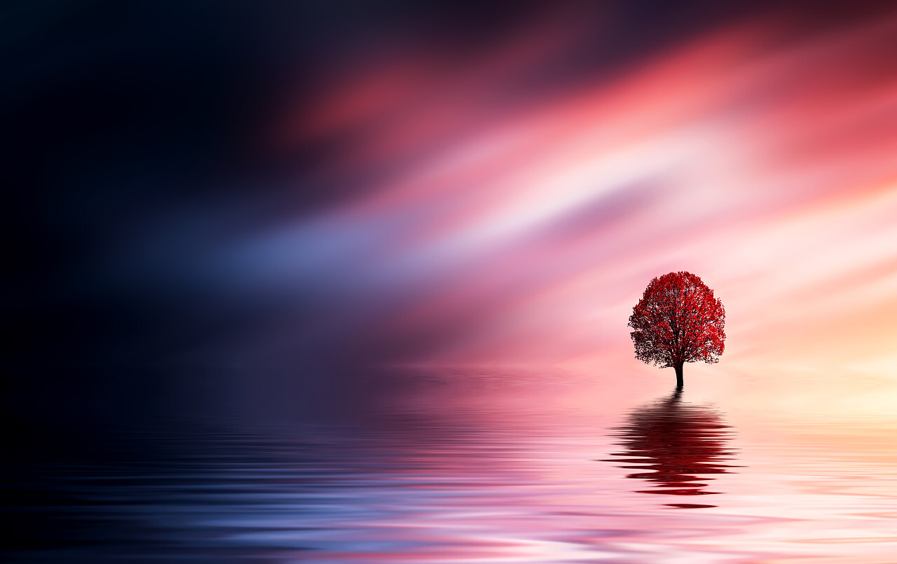 唯美自然风景美如童话夜晚背景大自然山水树木的风景画震惊