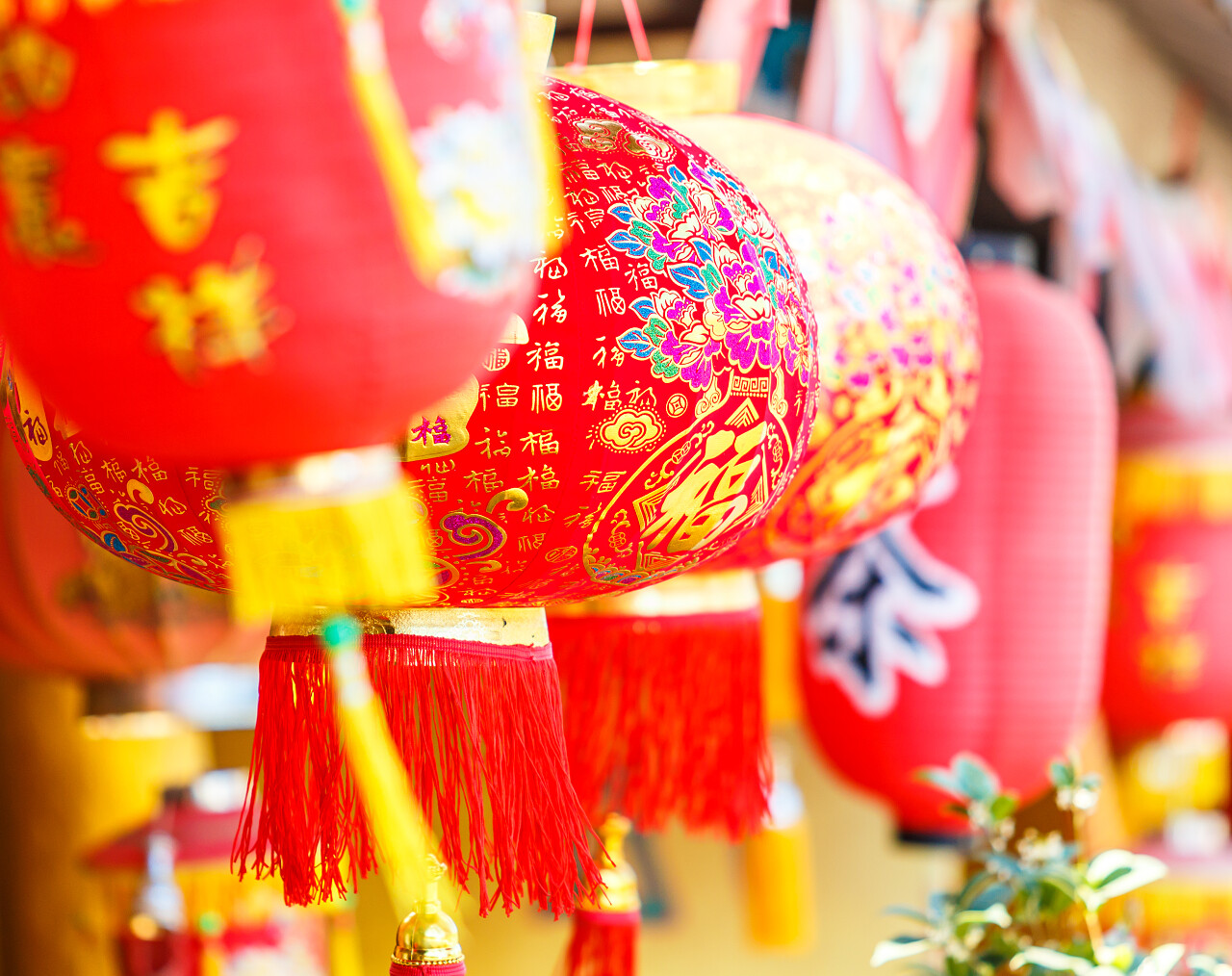 中国传统文化的红灯笼买年货年货节