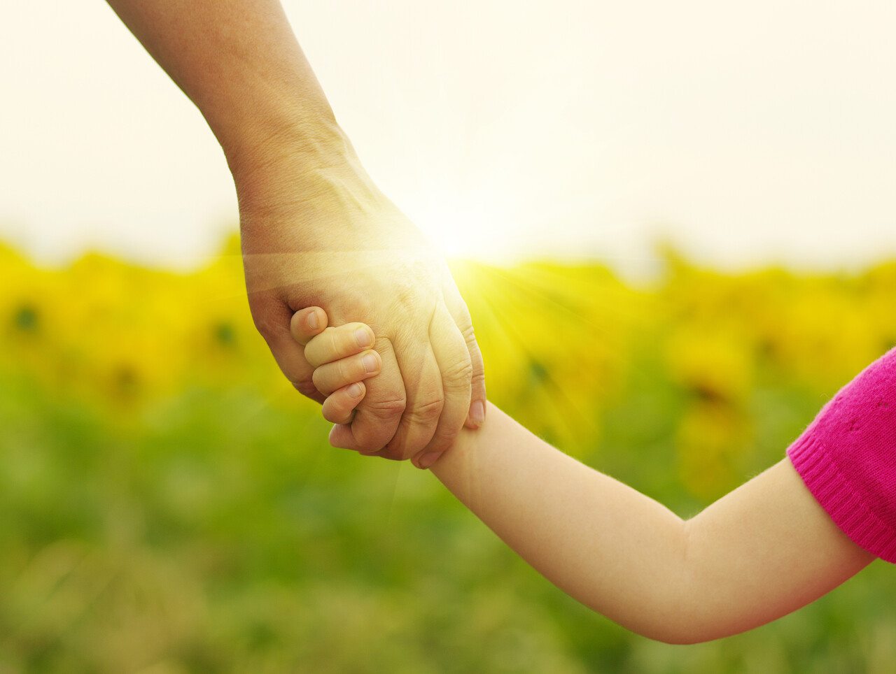 父亲节大手牵小手手部特写照片夕阳下妈妈和女儿互相牵手