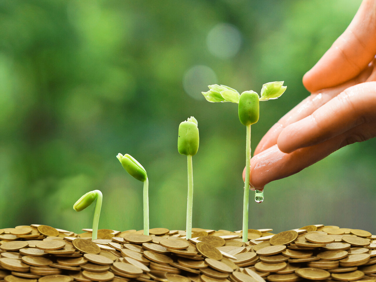 用手浇灌年幼的婴儿植物生长金融财富收入提升