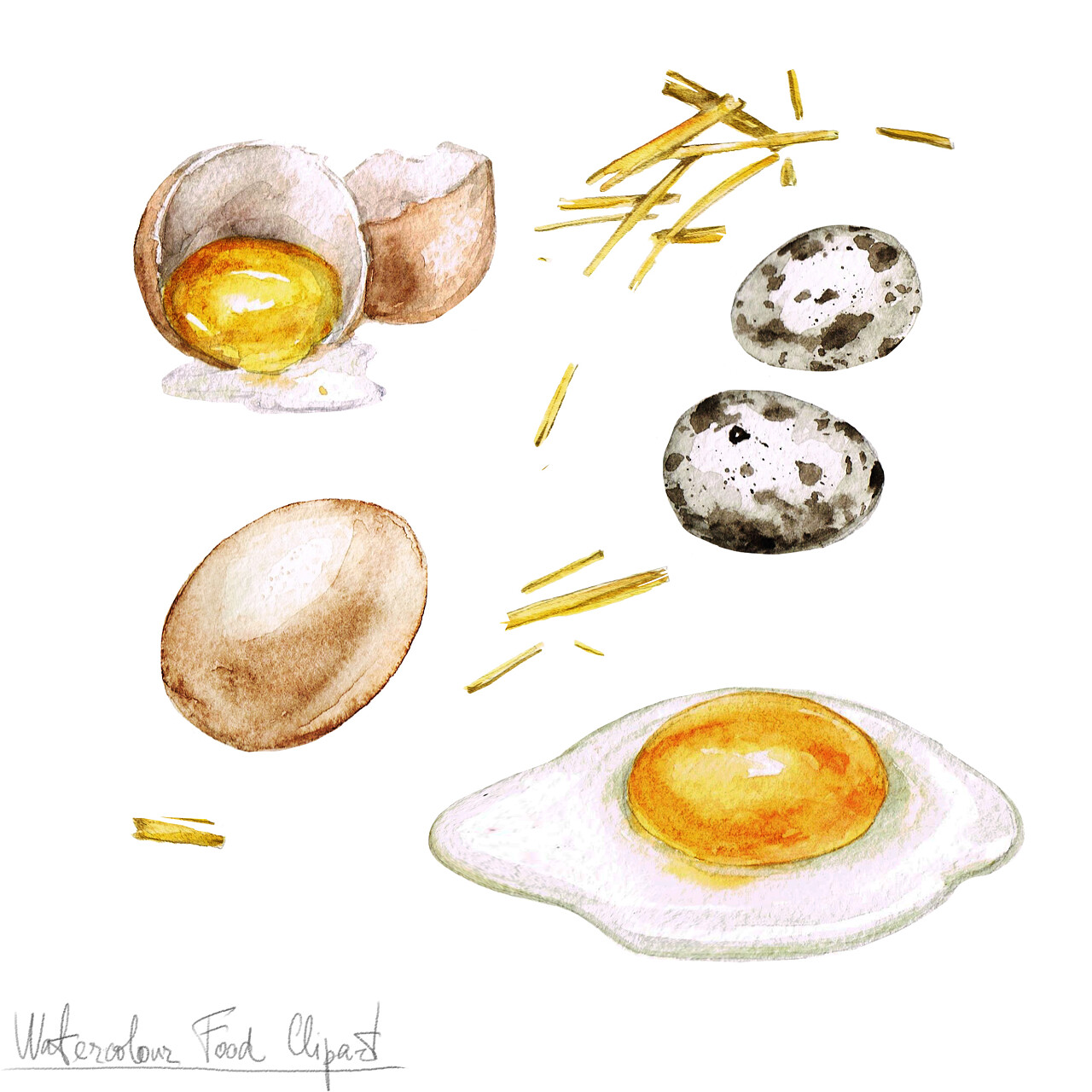 白色背景上孤立的鸡蛋水彩烹饪剪贴画