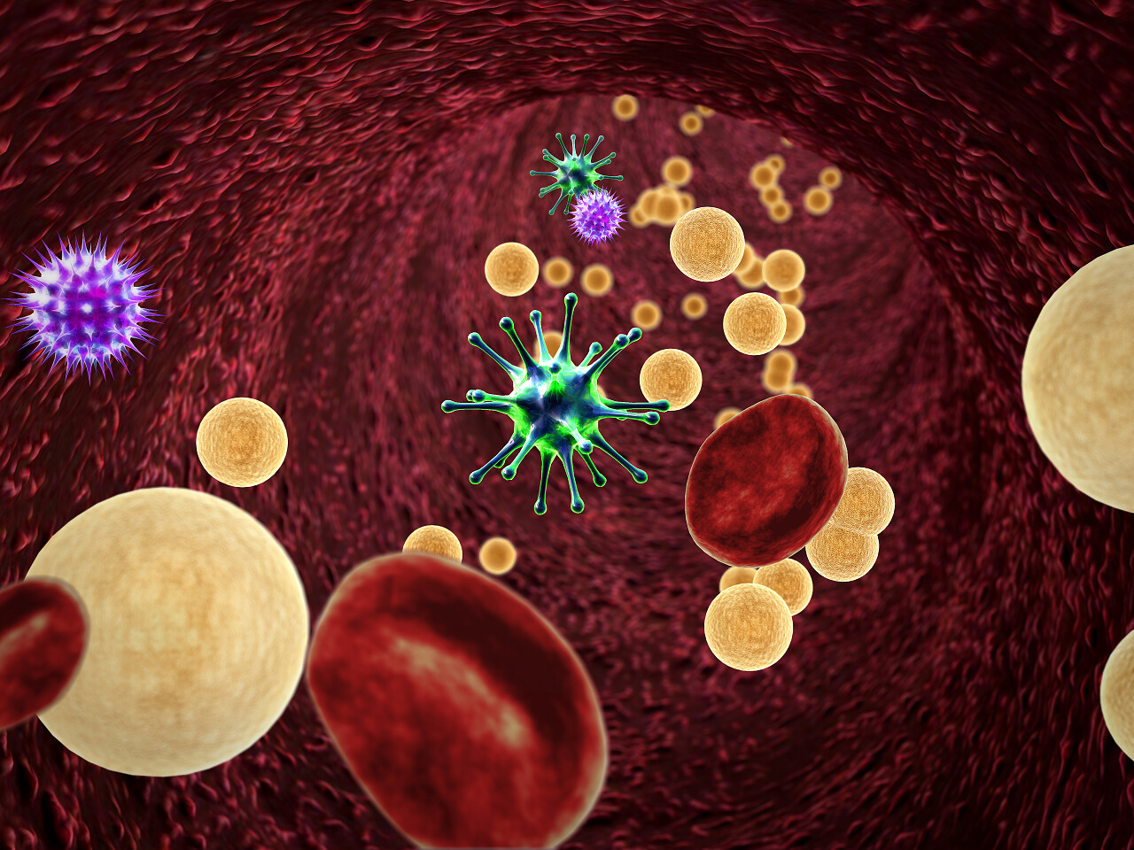 红色背景下3D血液中的大肠病毒