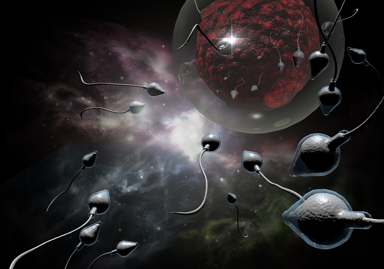 黑色背景下游泳精子比赛浸渍人类受精卵