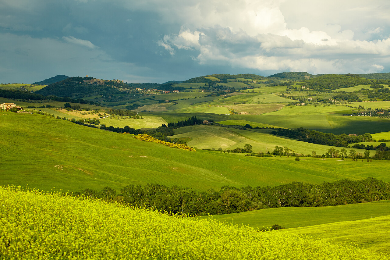 春意盎然的绿色托斯卡纳小山