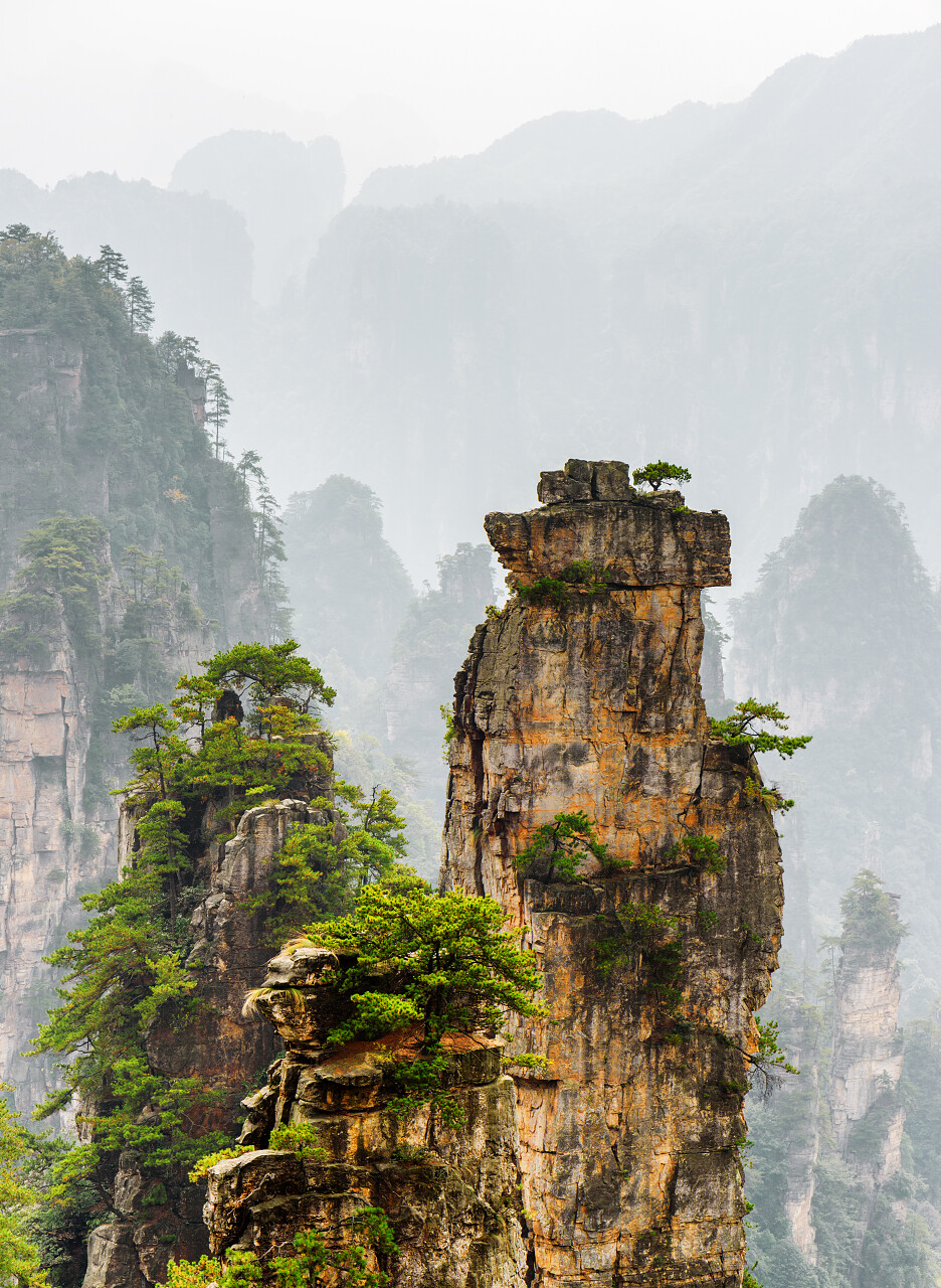 云雾下中国湖南省张家界国家森林公园三根令人惊叹的天然石英砂岩柱风景图张家界旅游湖南旅游