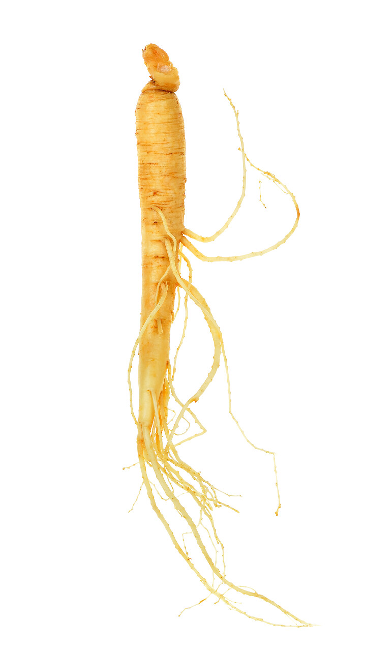 白色背景下营养丰富的人参素材
