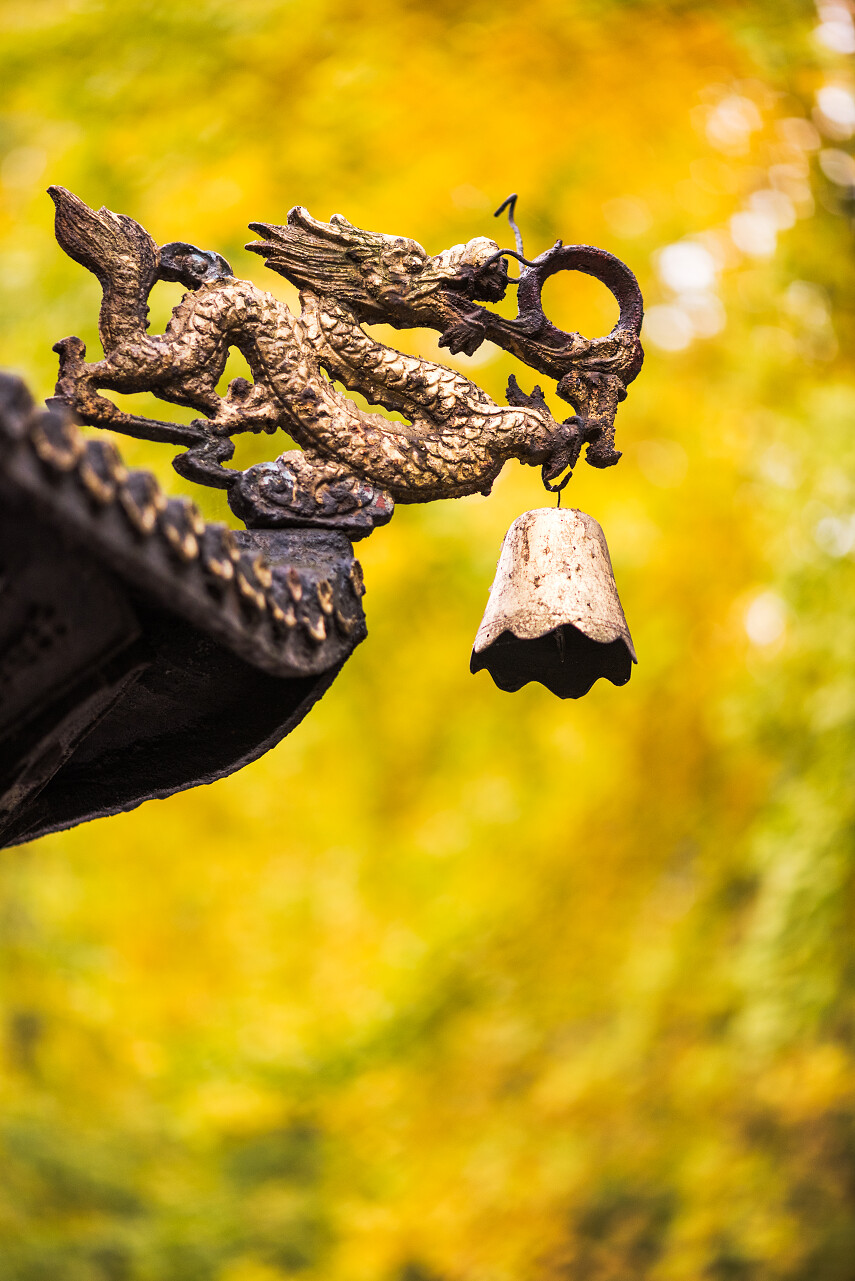 中国寺庙的屋顶上的龙雕塑