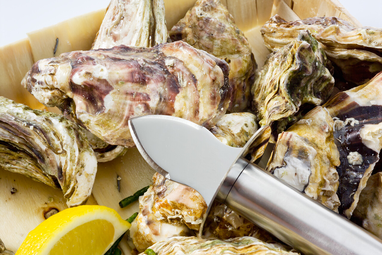 用刀切新鲜的牡蛎和柠檬