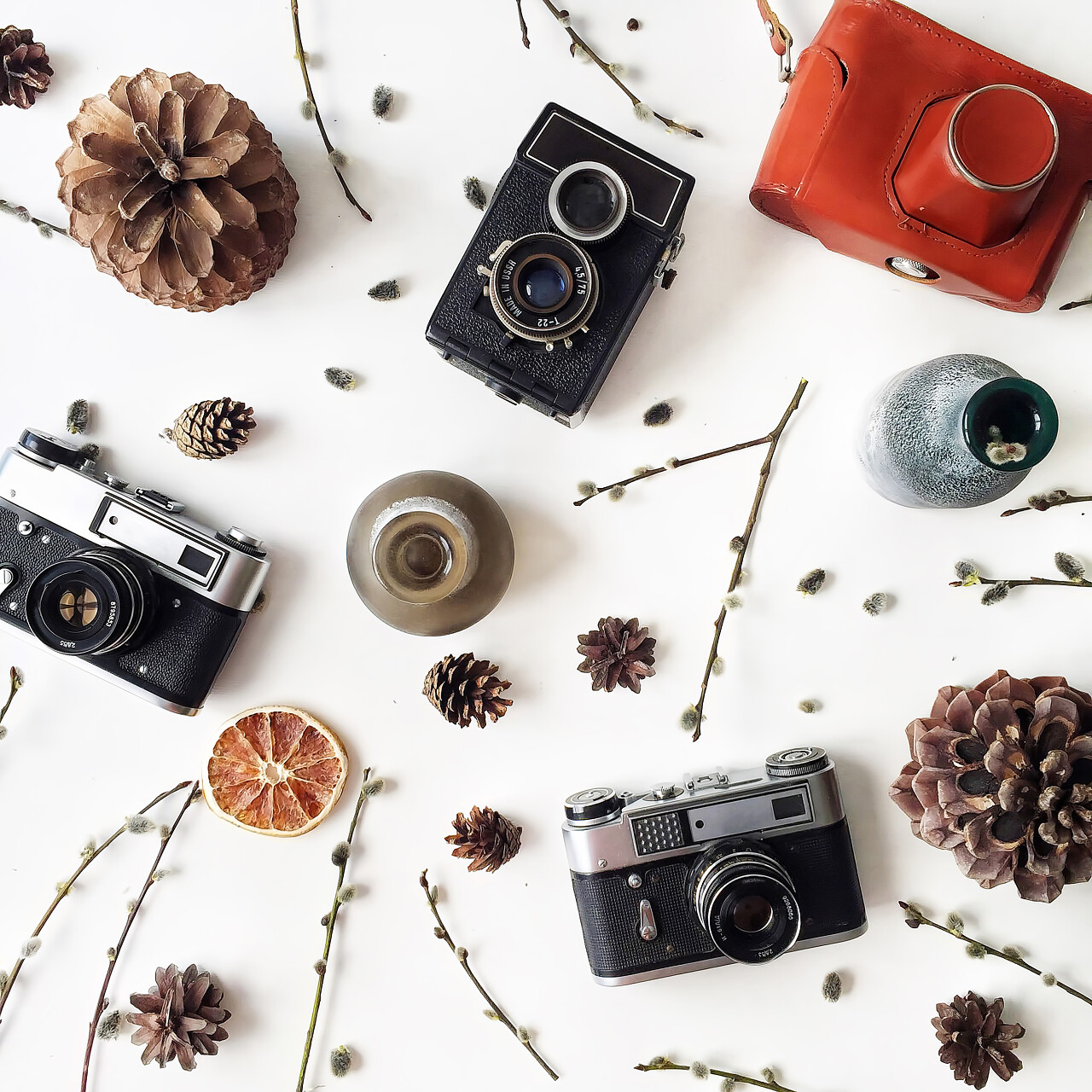 白色背景上的视锥细胞，老式的老式相机，烛台，褪色柳、 叶和干橙