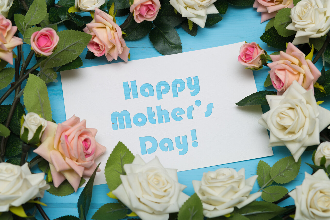 母亲节给母亲的花朵祝福母亲节