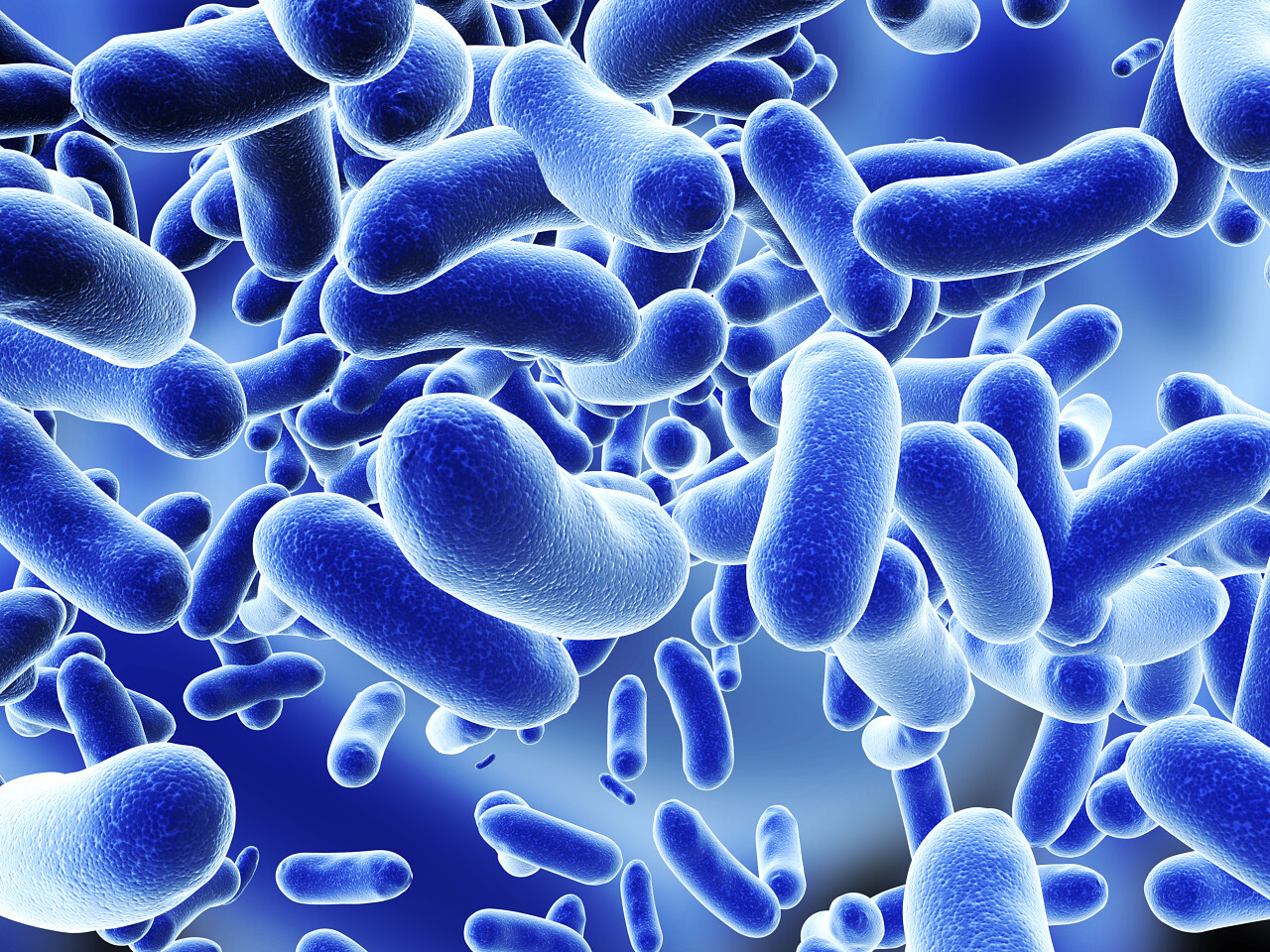 殖民地的病菌病毒