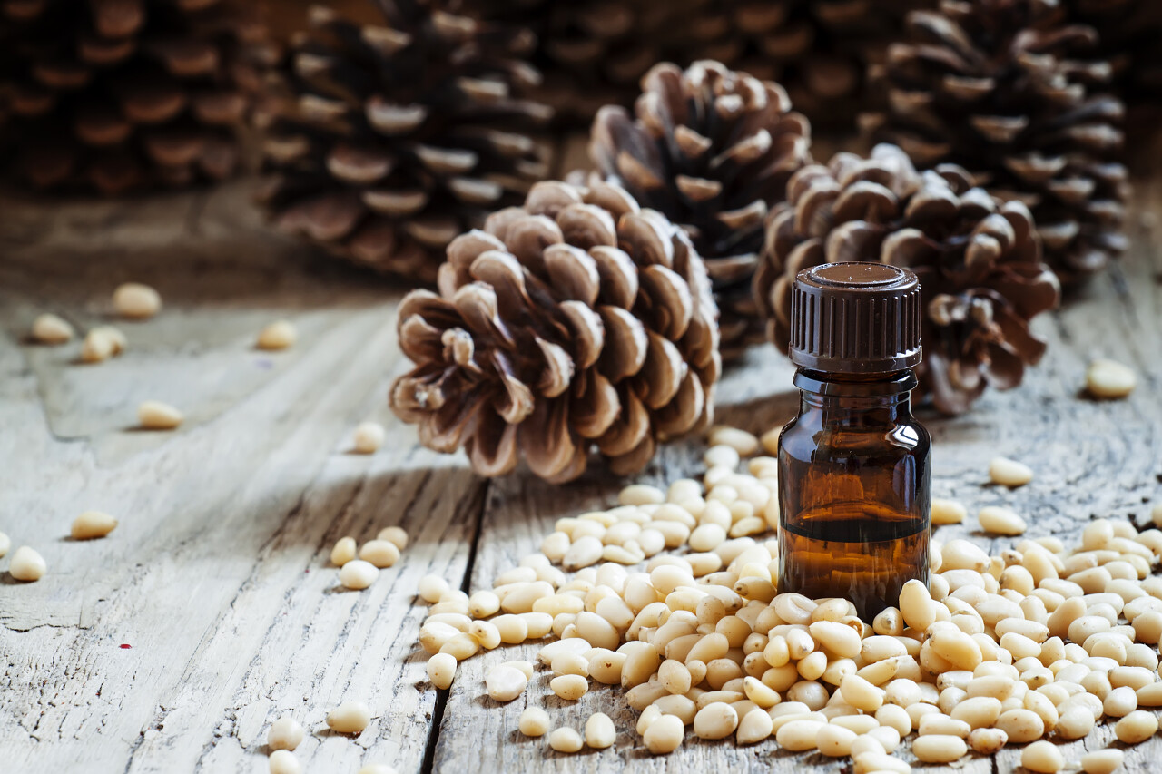 桌子上的棕色瓶子松子仁松果