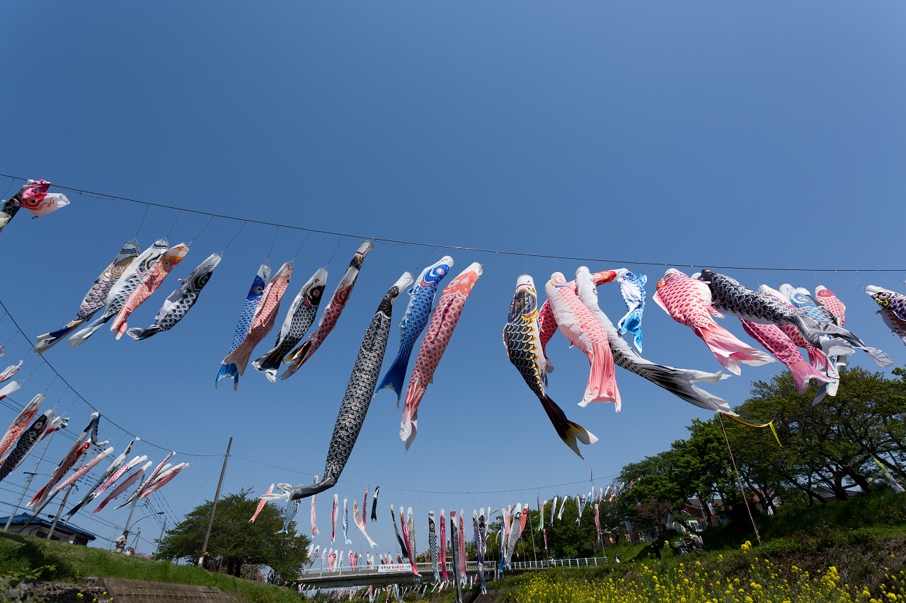 日本鲤鱼形状的彩带装饰悬挂在空中