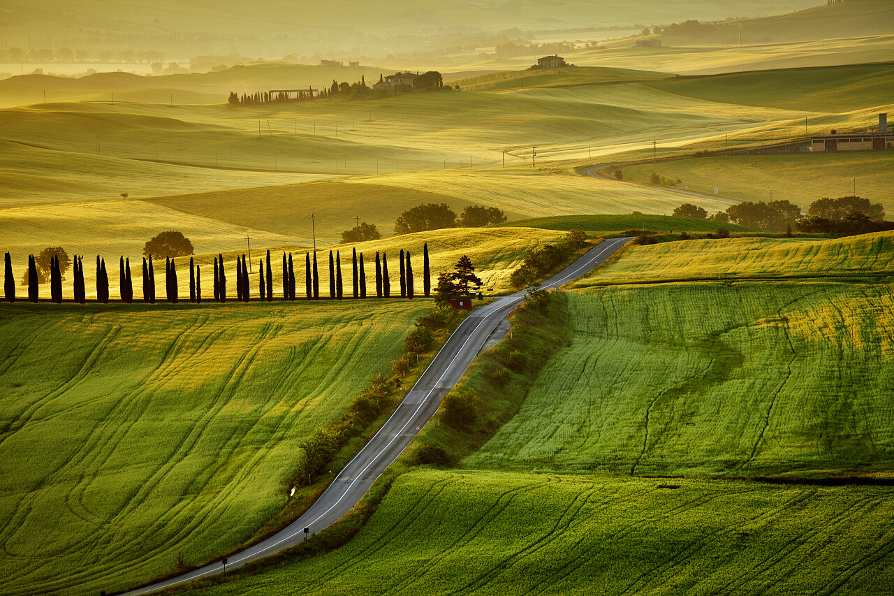 夏天在托斯卡纳丘陵景观