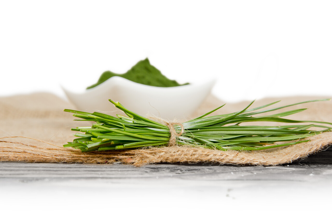 麻布上的一捆韭菜