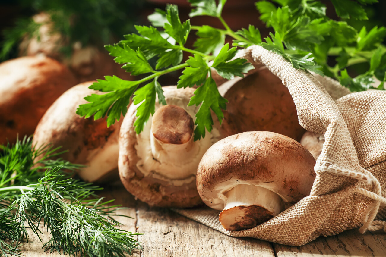 蘑菇在麻布袋里