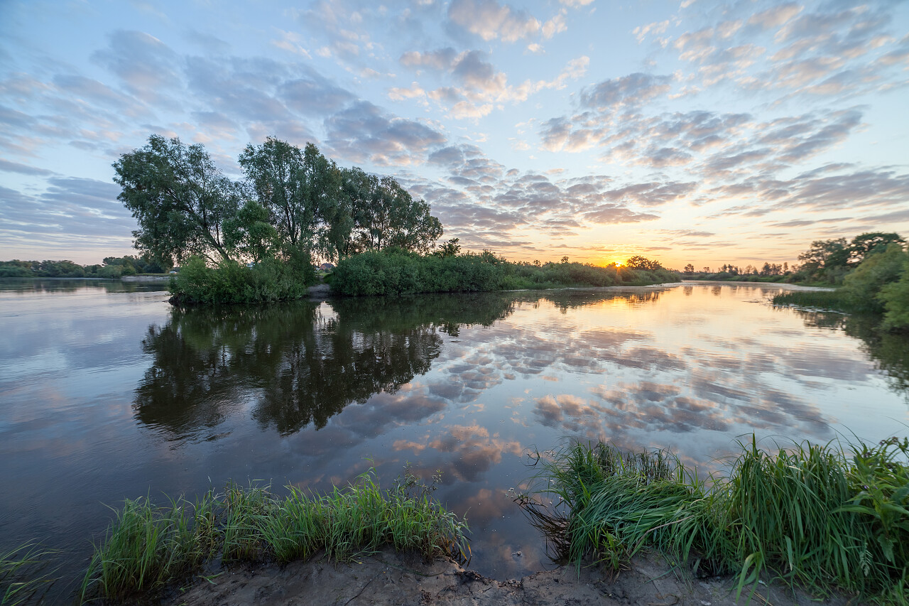 森林中的沼泽湿地沼泽湿地日
