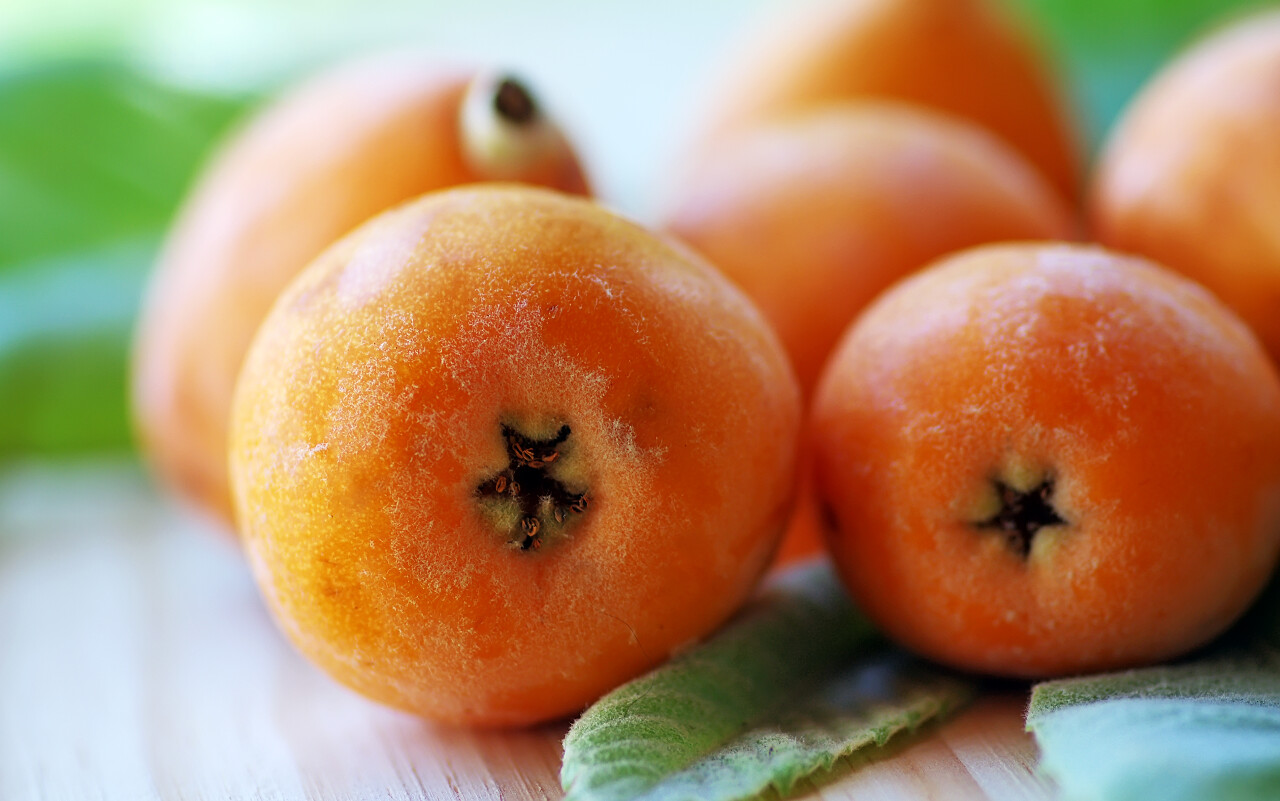 枇杷果实的特写