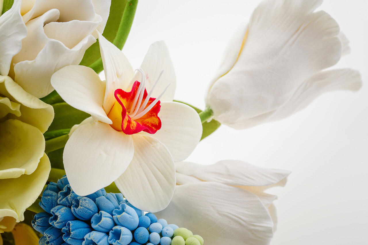 白色背景上的美丽手工艺术