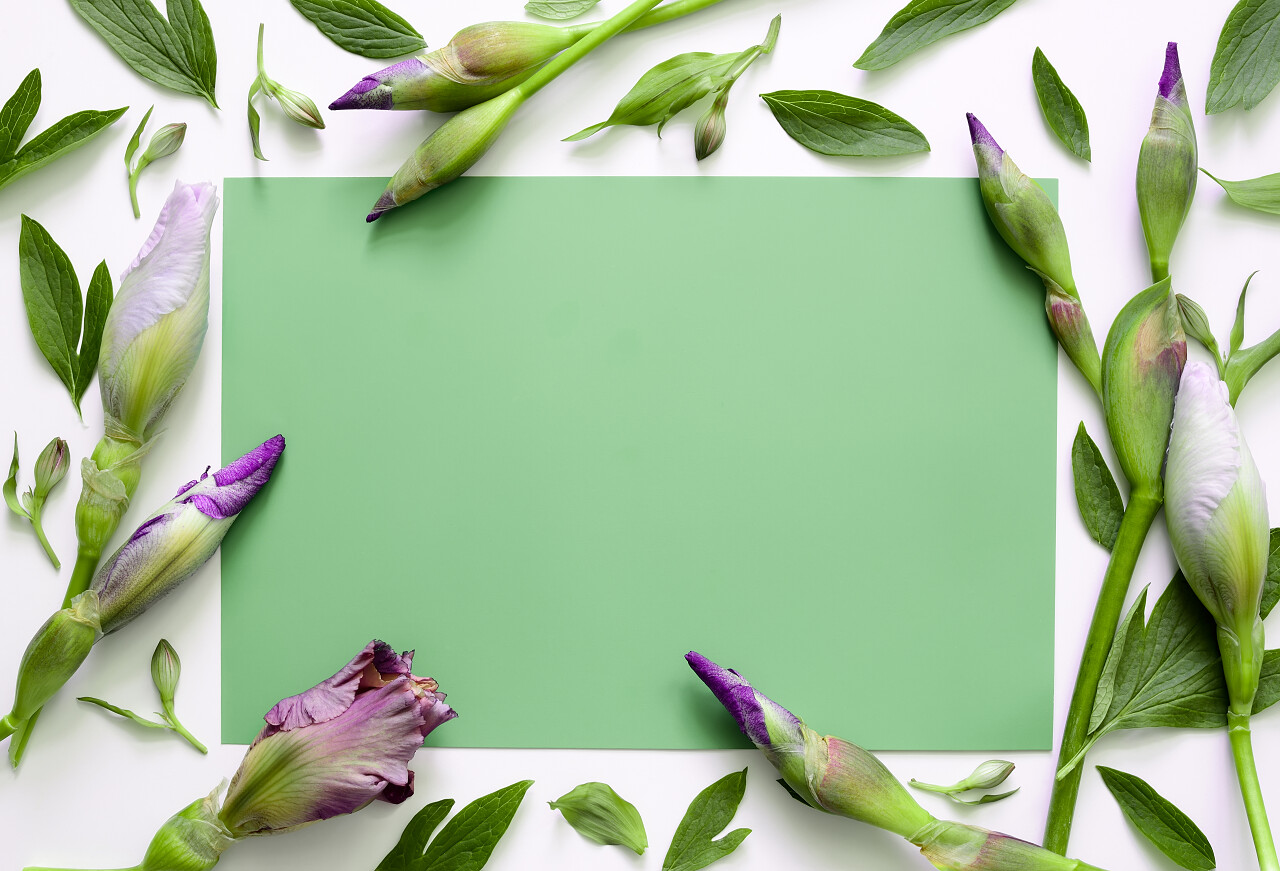 绿色卡片旁边的花卉背景