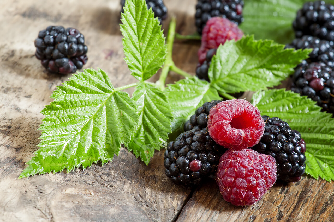 木桌上散落在新鲜的树莓和黑莓