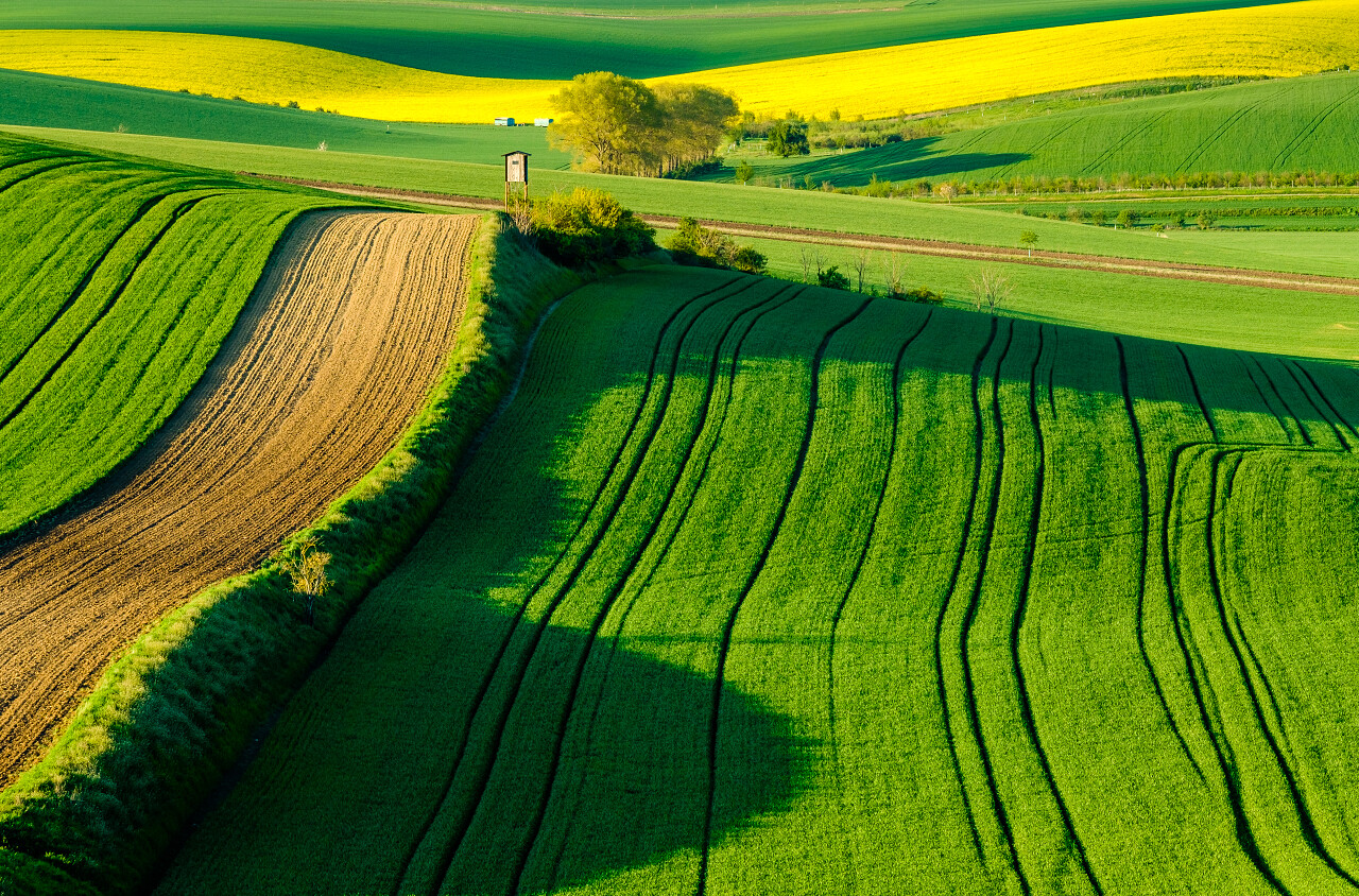 带有纹理的草地与穿过草地的小路