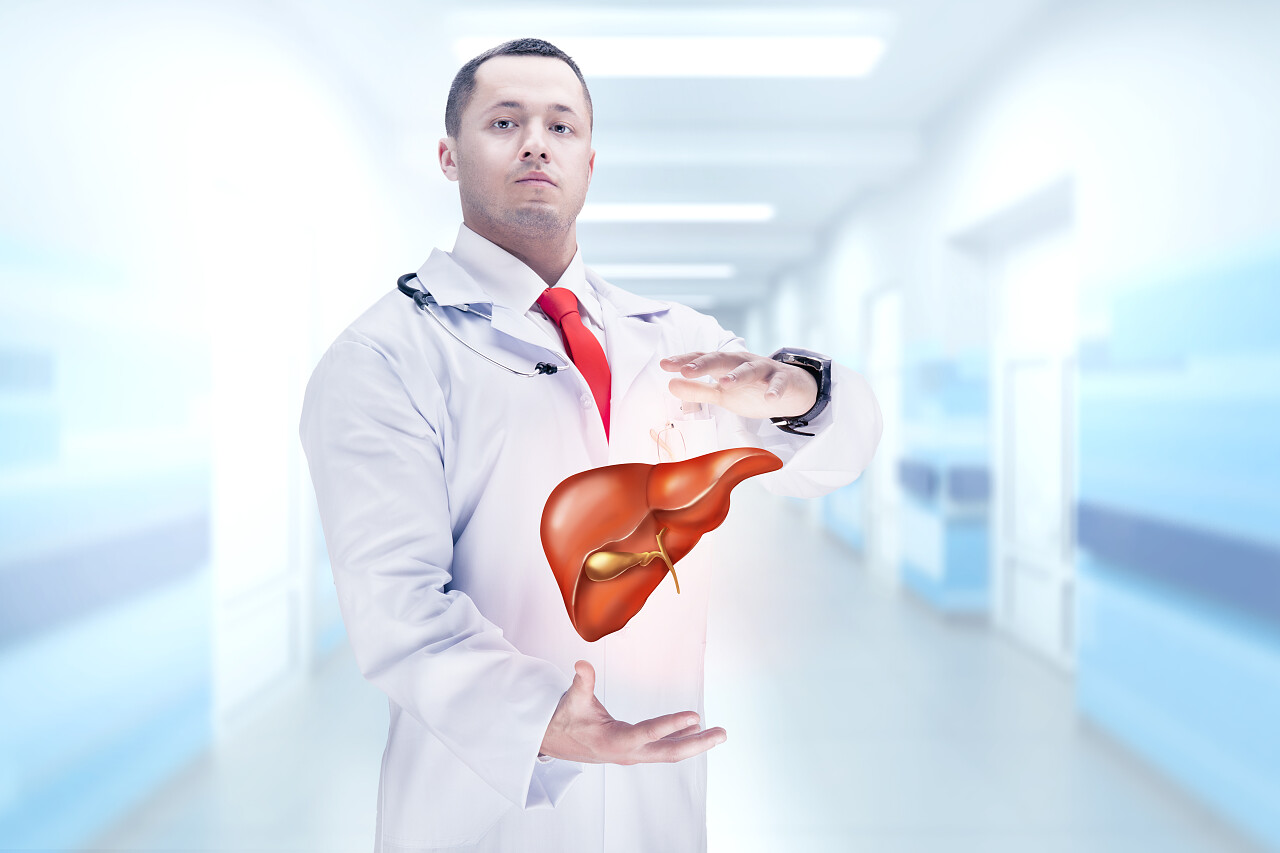 手里拿着肝脏的医生全国爱肝日