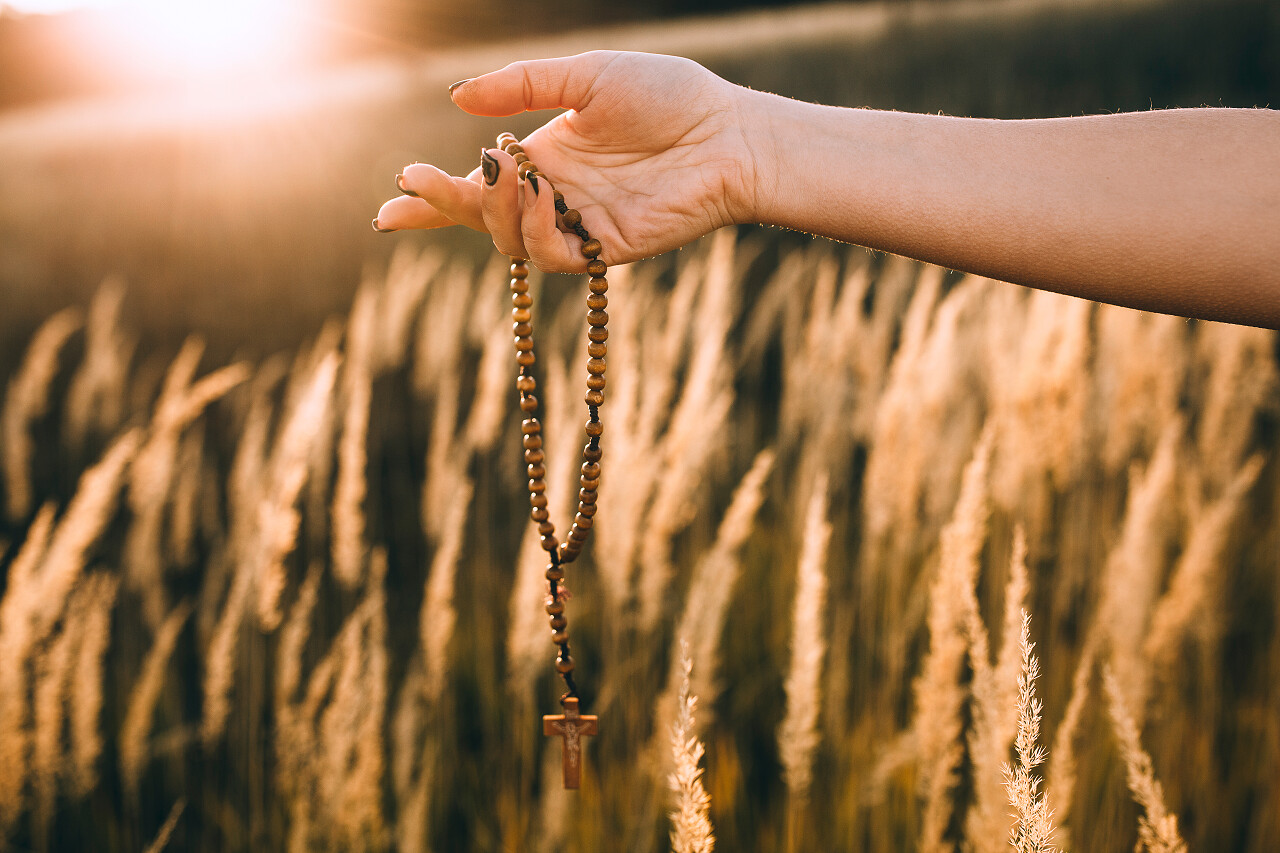 手拿珠子广阔的麦田成熟的麦田田野自然风景图希望的田野二十四节气24节气芒种