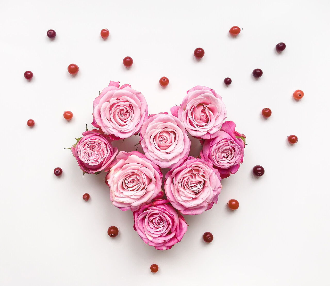 心形玫瑰玫瑰粉玫瑰玫瑰花鲜花花朵新鲜花朵