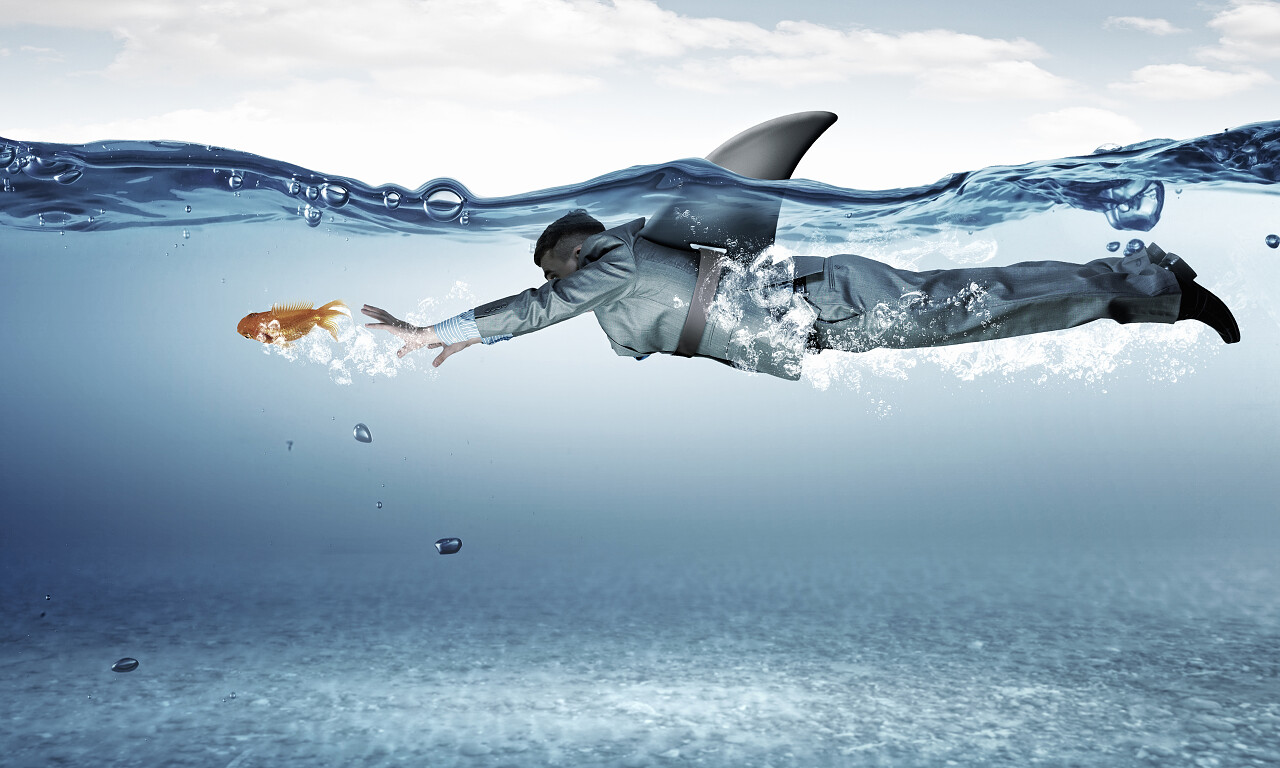 大海年轻的商人鲨鱼鳍游泳奋斗拼搏