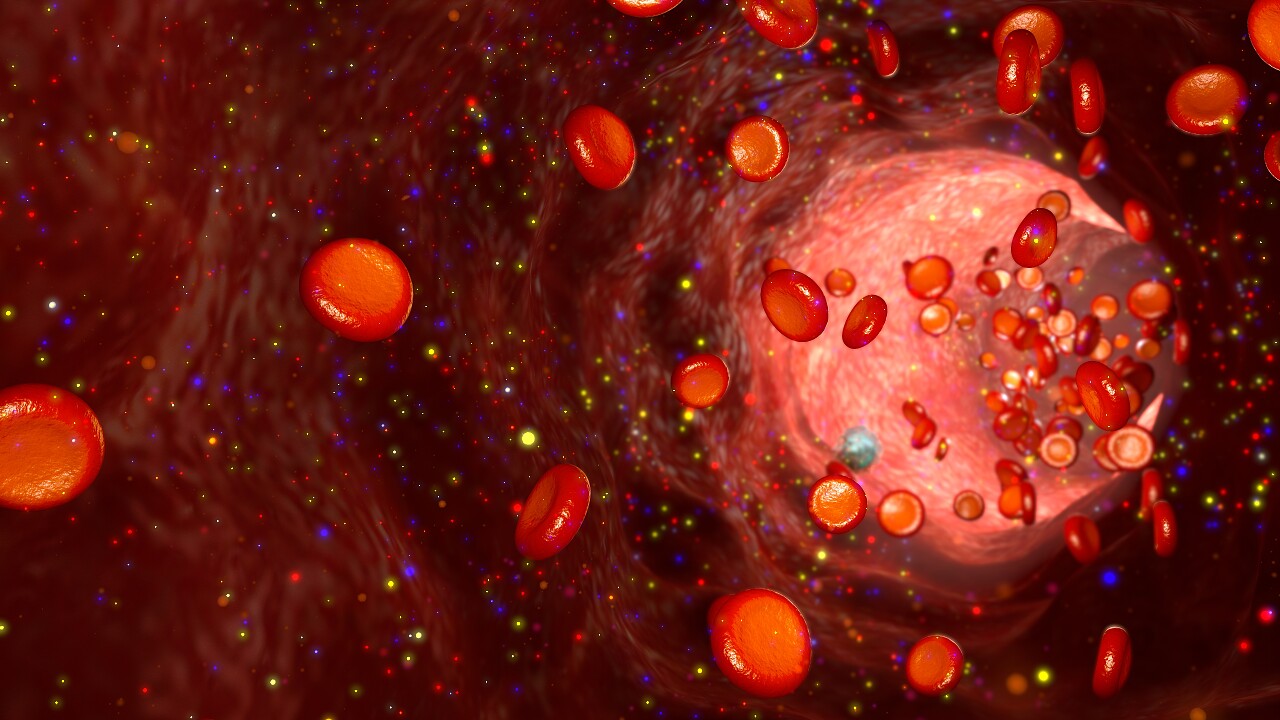 血液细胞人体器官透视图身体内部血管器官