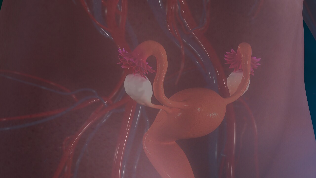 人体器官透视图身体内部血管器官