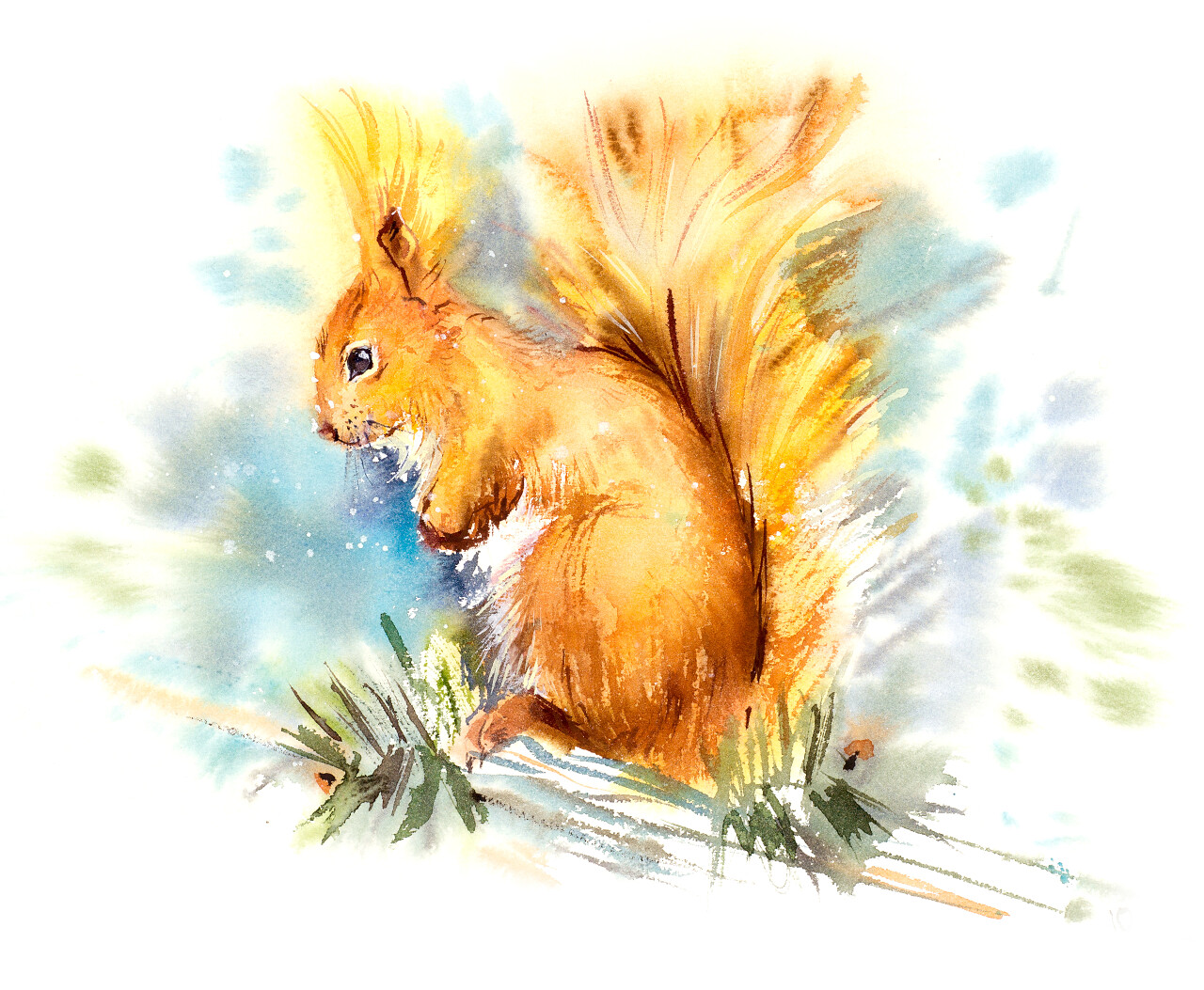 水彩手绘插图松鼠动物可爱松鼠